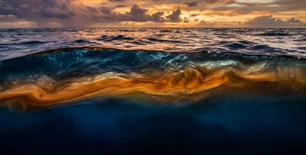 Sinal sob a superfície do oceano lembra o que antecedeu os maiores El Niño já vistos