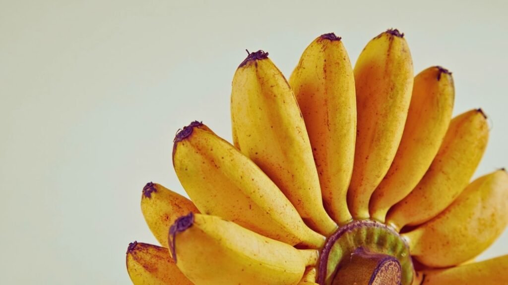 bananas são radioativas