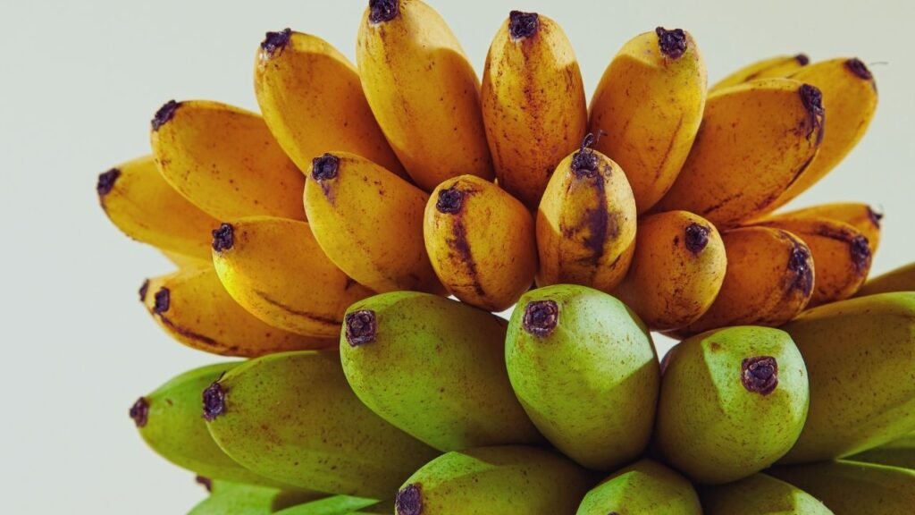 bananas são radioativas