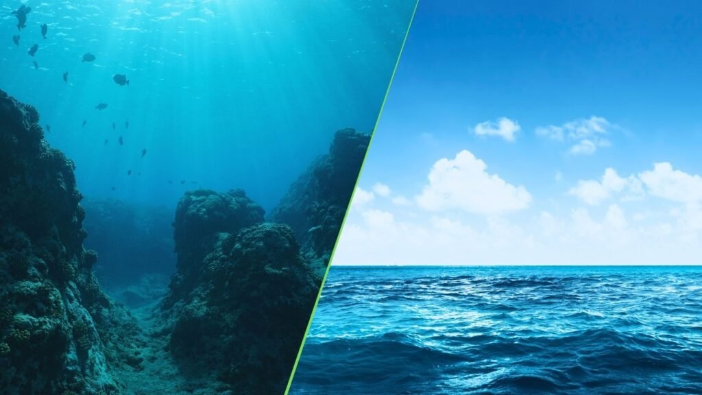 Quantos Por Cento Do Oceano Foi Explorado Até Hoje?