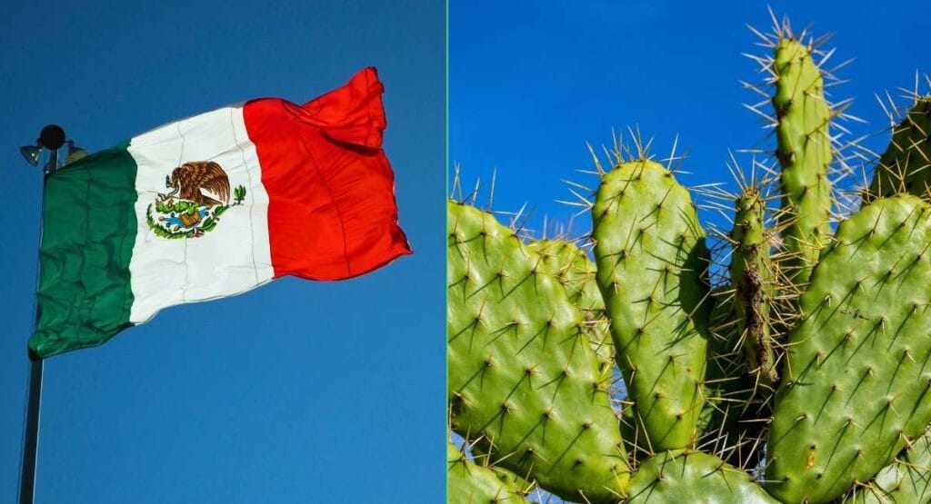 Bandeira mexicana com águia e serpente ondulando contra céu azul, ao lado de cactos espinhosos verdes. México cria plástico feito de suco de cacto que some no solo em poucas semanas