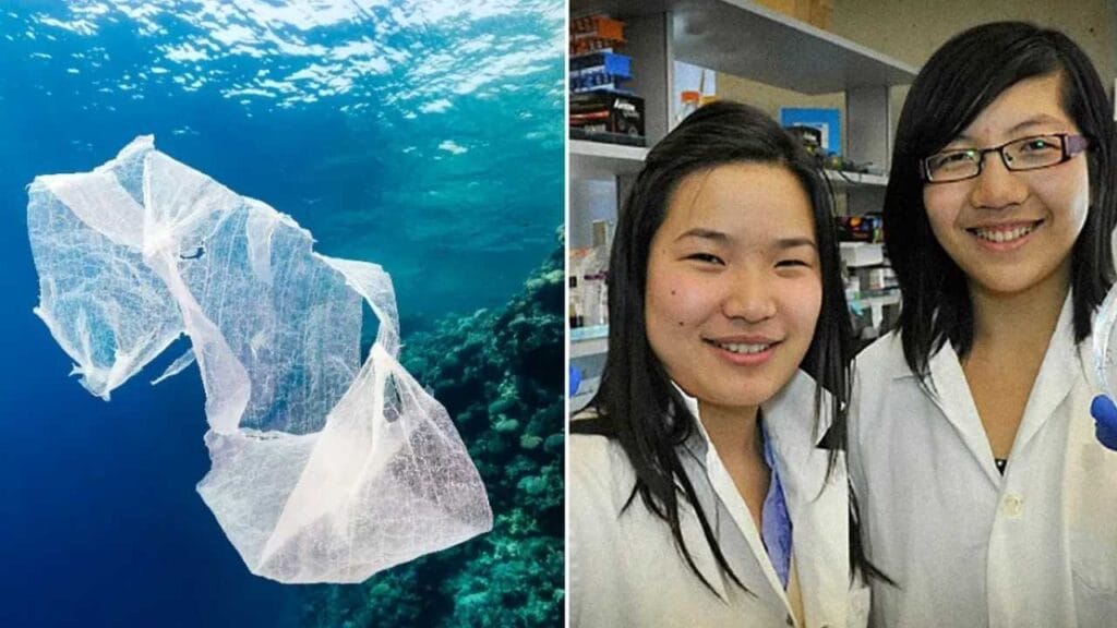 Bactéria que come plástico em oceanos Foto Reprodução