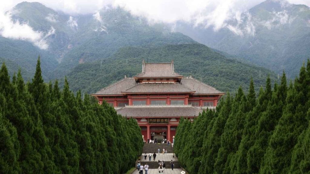 China cultiva arroz com água do mar 