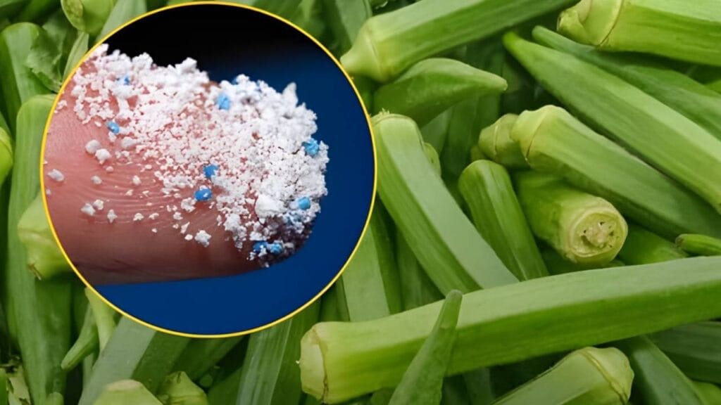 Compostos naturais do quiabo podem ser a solução surpreendente para remover microplásticos dos oceanos, dizem cientistas