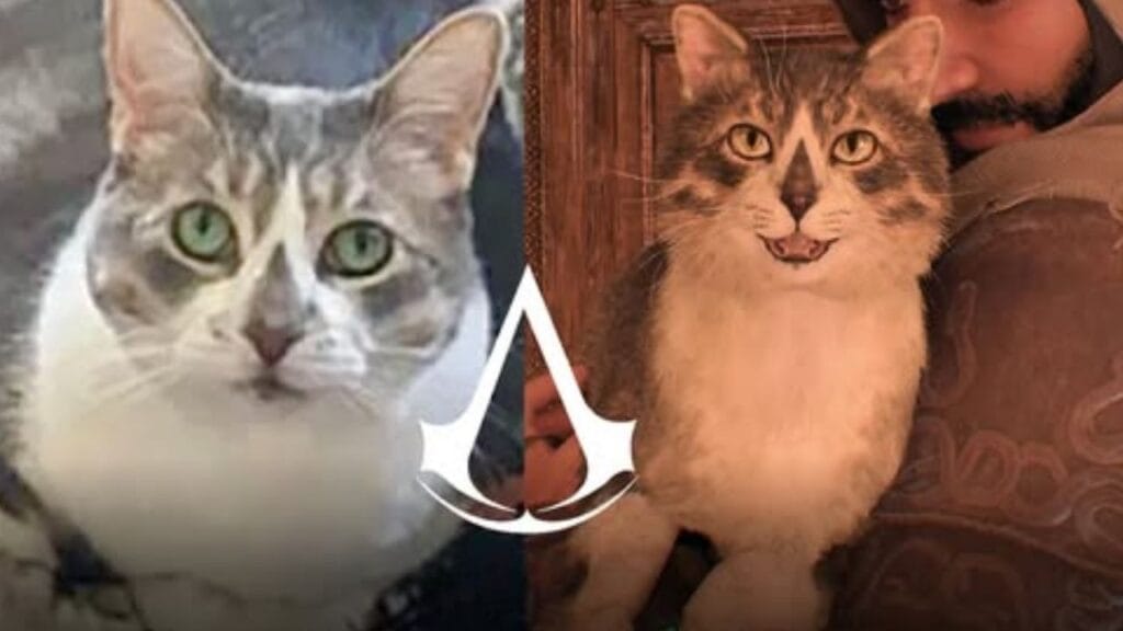 Gato com símbolo de Assassin’s Creed no rosto, morto em 2022, vira homenagem oficial no jogo Mirage