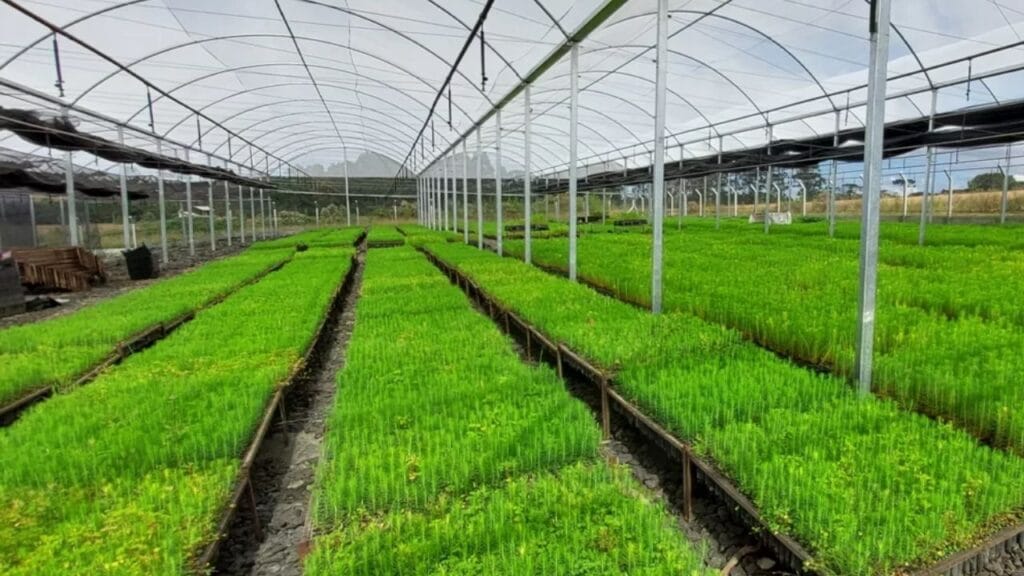 Estufa o que é, como funciona e quais os tipos mais usados