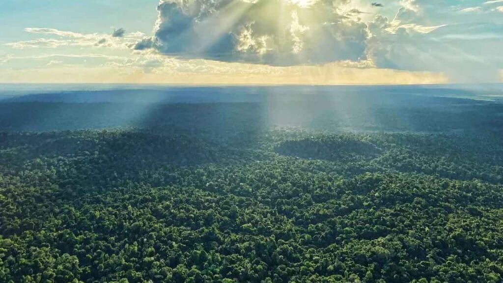 Foto aérea revela a grandiosidade da Amazônia 