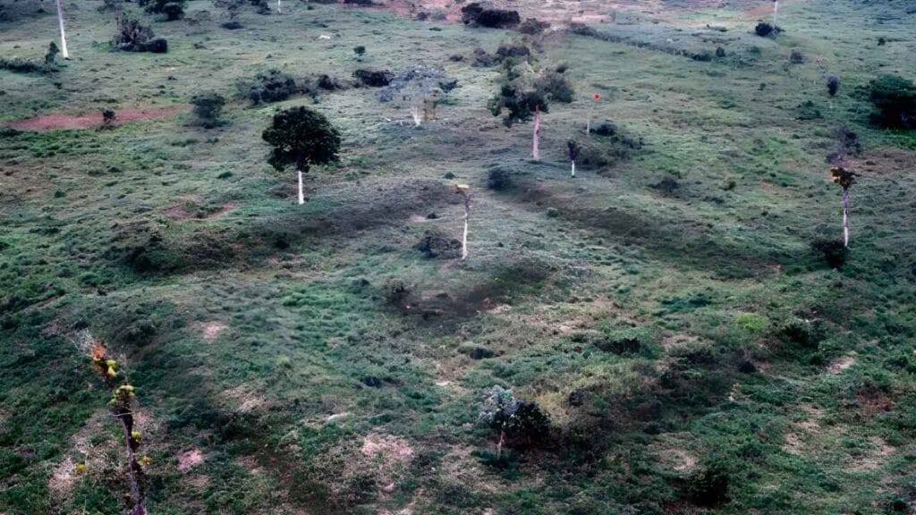 Mapeamento usou engenharia avançada. Reprodução Revista Science