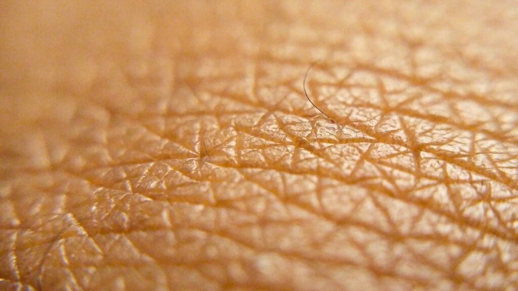 Novo hidrogel imita a pele humana e promete curar feridas até 10 vezes mais rápido (1)