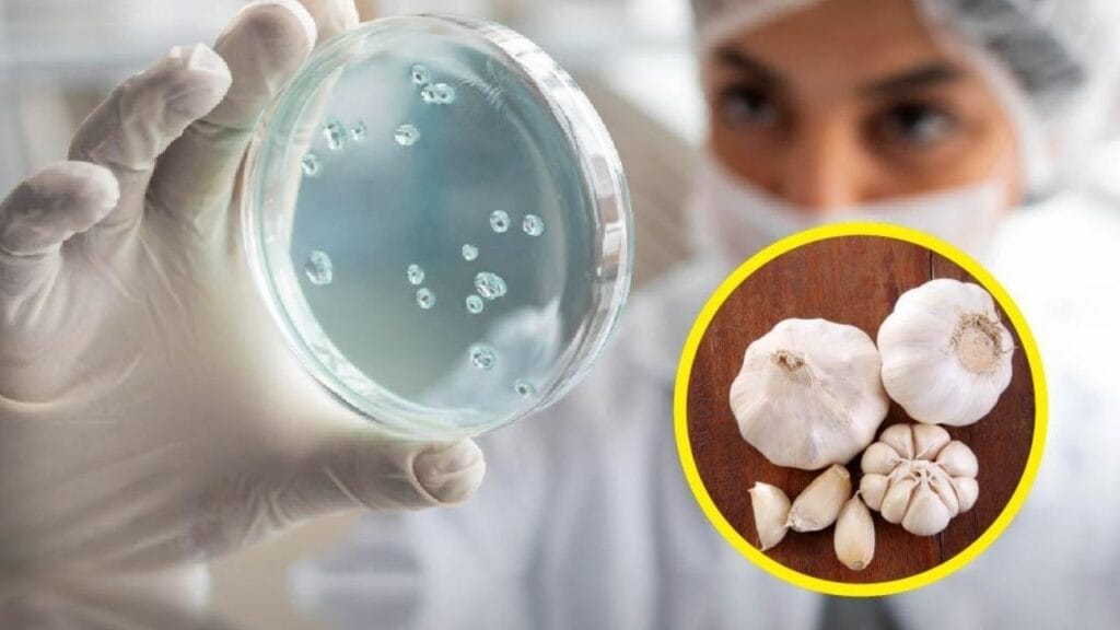 Receita medieval do século IX surpreende ao destruir bactérias resistentes a antibióticos (1)