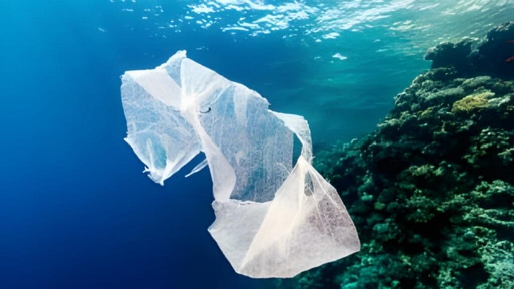 Bactéria que come plástico em oceanos- Foto Reprodução