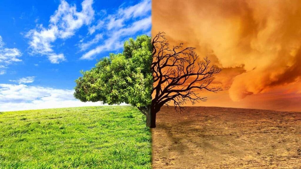 progressos no combate às alterações climáticas