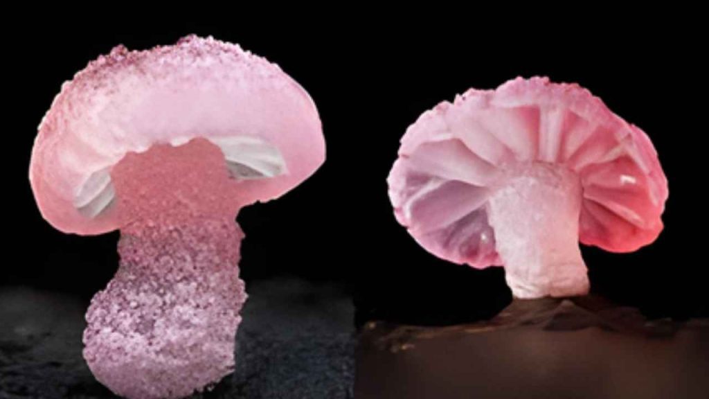 Um mosaico de Bennu criado a partir de observações feitas pela sonda OSIRIS REx da NASA, que esteve em estreita proximidade com o asteroide por mais de dois anos • NasaGoddardUniversidade do Ariz