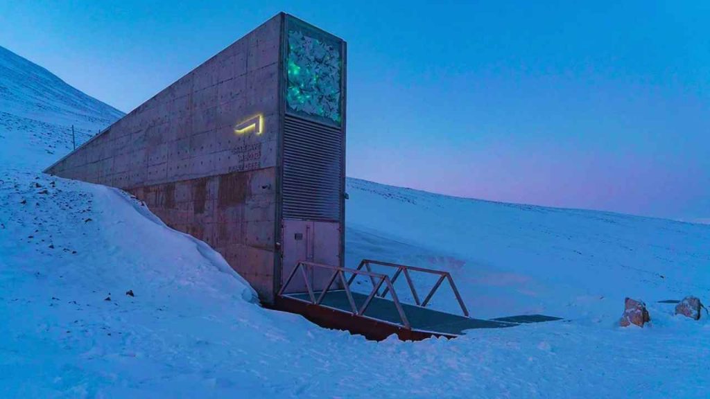 Peru envia 25 variedades de pimenta ao Cofre do Fim do Mundo para preservar diversidade