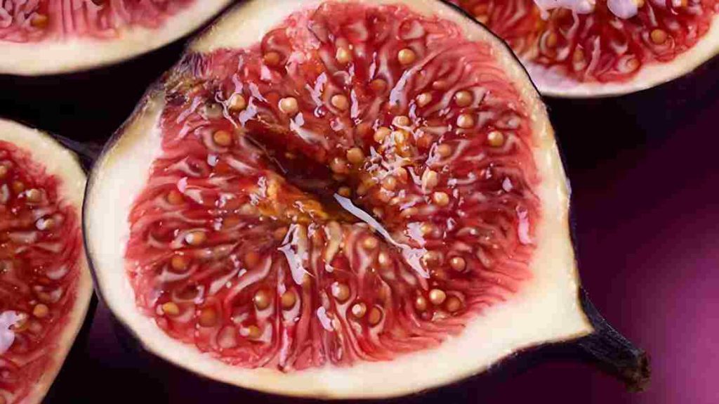 Cientistas explicam o mito do inseto no figo e o que realmente acontece ali dentro