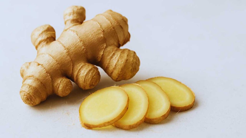 Estudo japonês indica que composto do gengibre pode enfraquecer células cancerígenas em laboratório