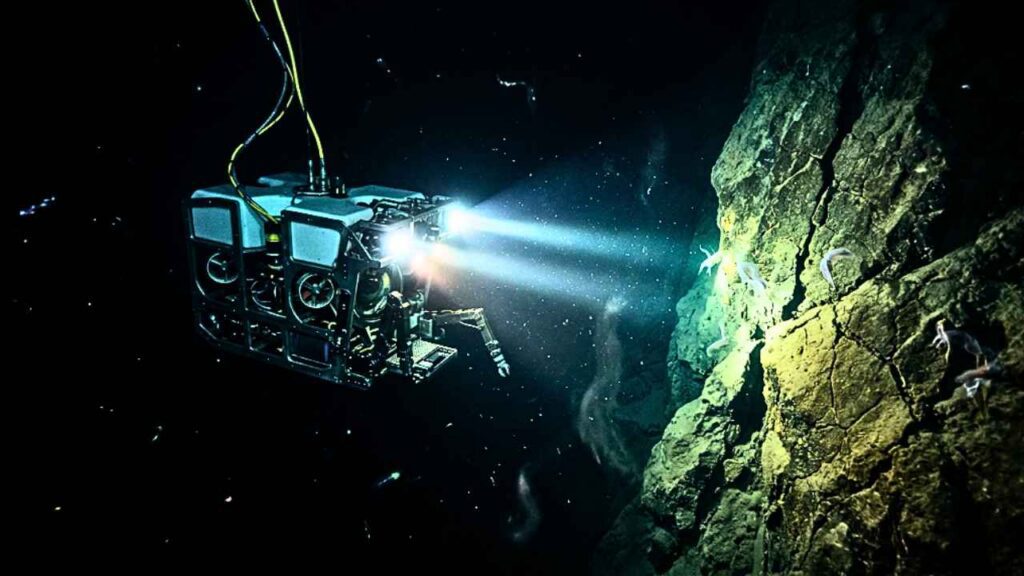 A imagem mostra um veículo subaquático operado remotamente (ROV) mergulhando na escuridão do fundo do mar. Suas luzes brilham em uma parede de rocha subaquática próxima, onde pequenos peixes se reúnem